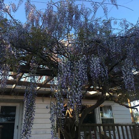 Wisteria Vine Cottage Monticello Zewnętrze zdjęcie