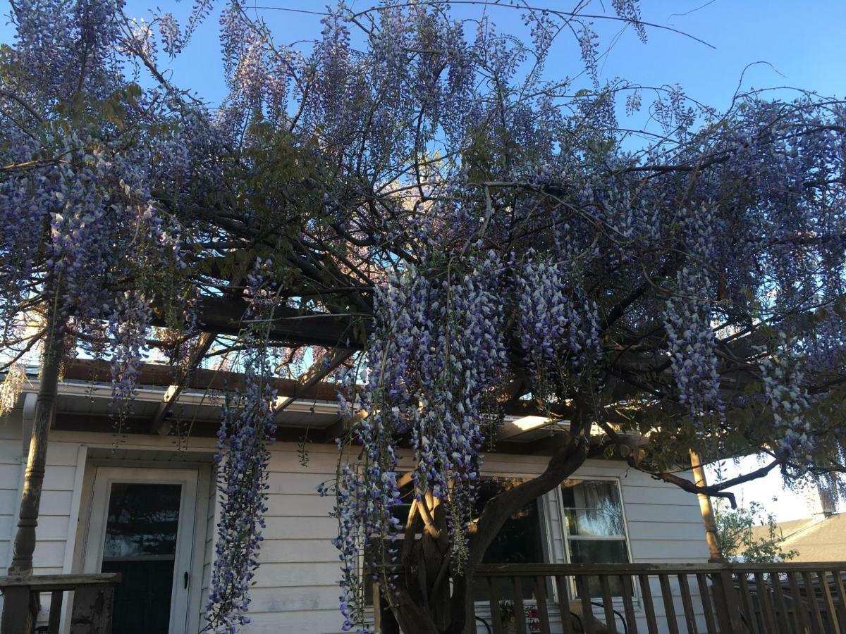 Wisteria Vine Cottage Monticello Zewnętrze zdjęcie